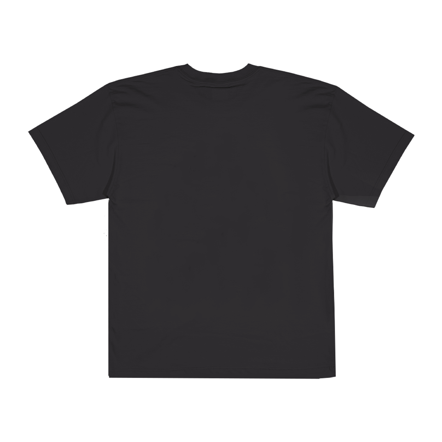 Irv Teibel WCHYT T-Shirt