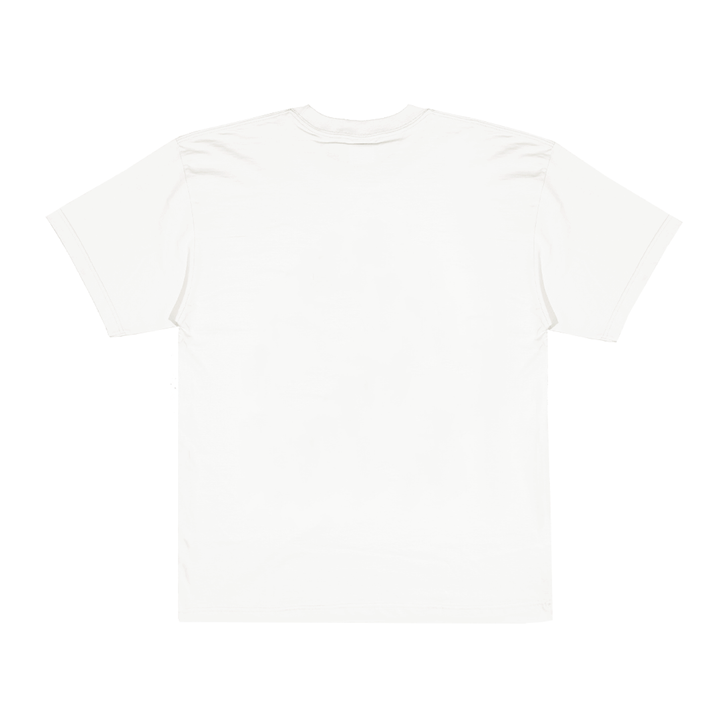 What I Learned From Reggae T-Shirt